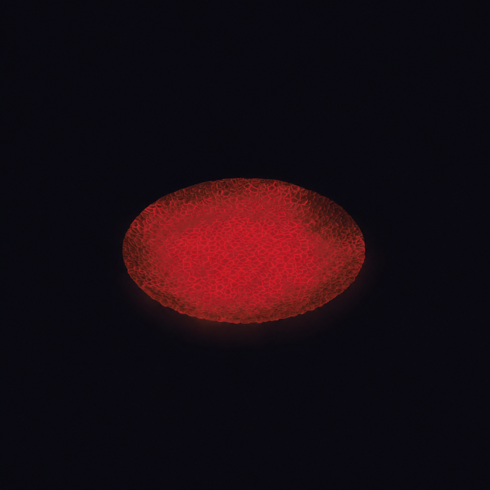 Luminous Series Plate