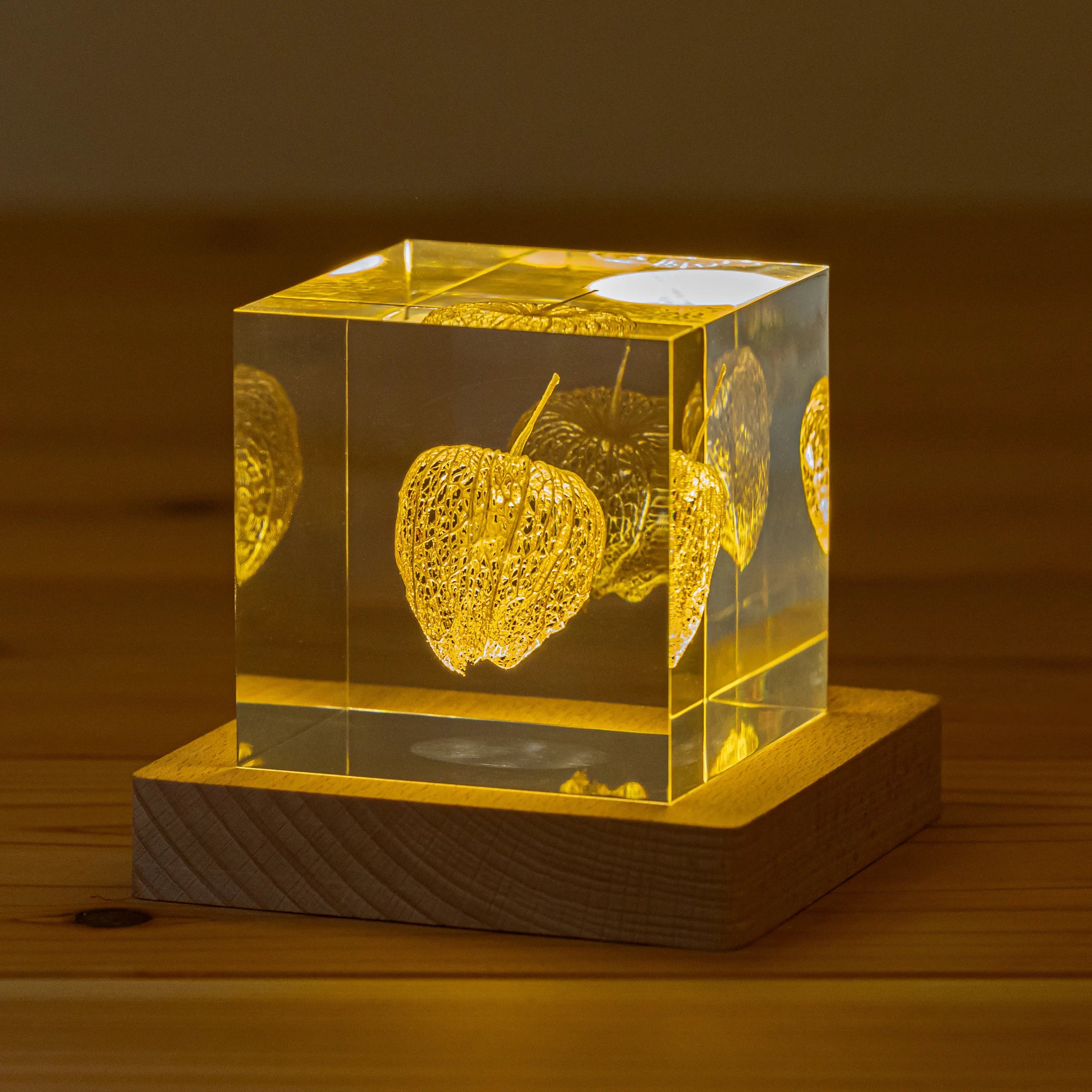 Lumière Gold Leaf Hozuki Light