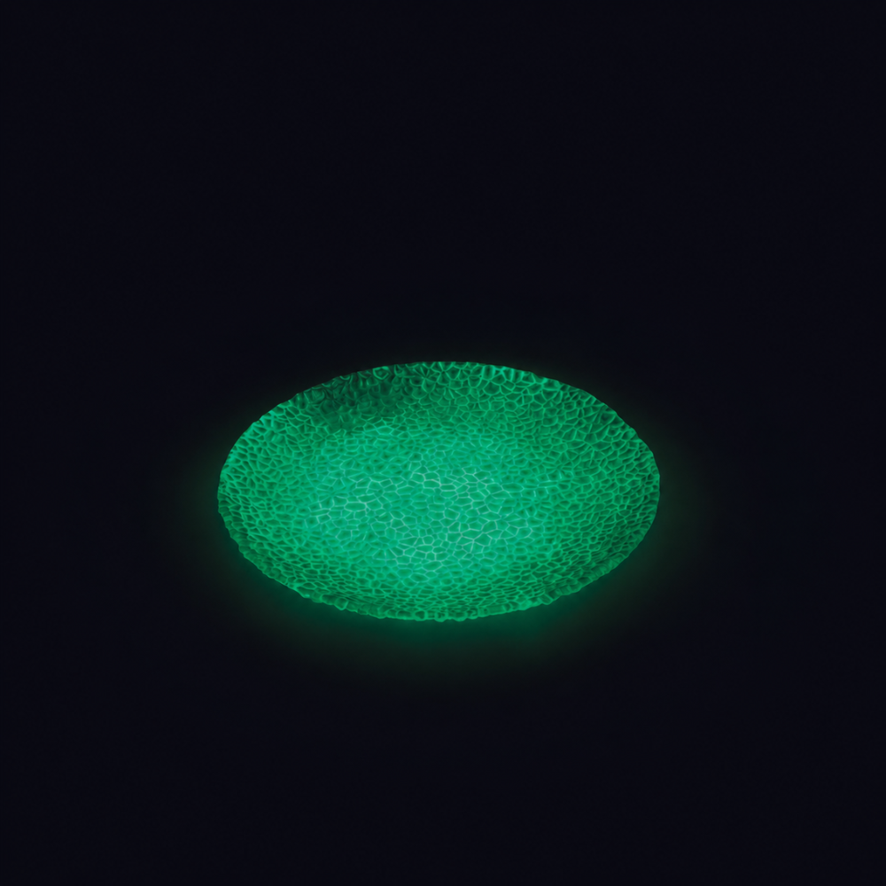 Luminous Series Plate